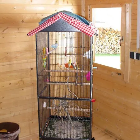 Hinze Apartamento